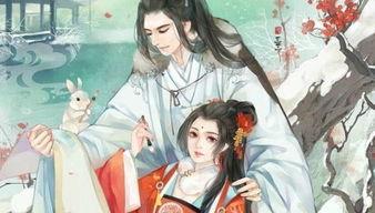 农女巧入帝王心