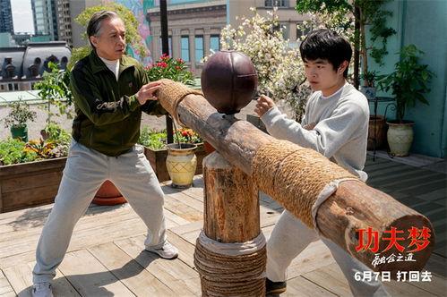 功夫梦：融合之道,融合之道——东西方武术文化的交融与传承