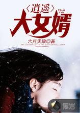 都市极品女婿（都市逍遥女婿）,低调崛起，逆袭人生