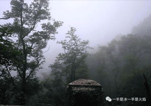 潇潇雨声迟,细品时光流转中的诗意人生
