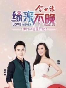 缘来不晚,邂逅命运的温柔时光